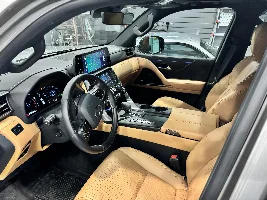 Palomino Interior