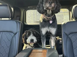 Bench seat cover