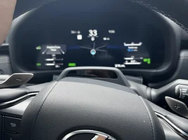 2025 Lexus LX 700h Earth Pictures