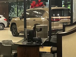 2025 Lexus LX 700h Earth Pictures