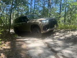 2025 Lexus LX 700h Earth Pictures
