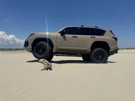 2025 Lexus LX 700h Earth Pictures