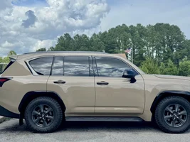2025 Lexus LX 700h Earth Pictures