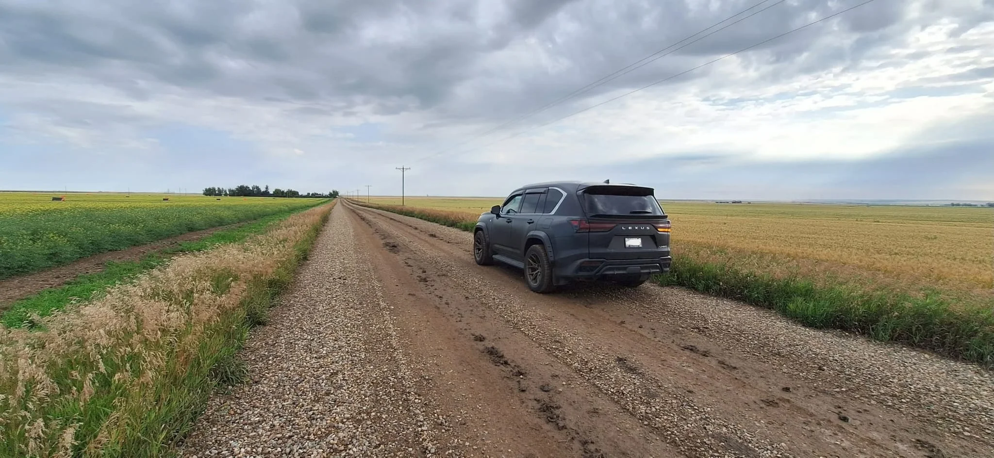 WhatsApp Image 2025-11-26 at 07.07.41.webp